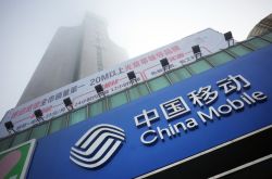 (教程经验)德宏傣族景颇族自治州人民政府官方网站_哔哩哔哩-3